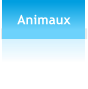 Animaux