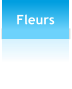 Fleurs