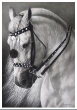 White Beauty - dessin crayons pastels - taille : 45 x 32 cm