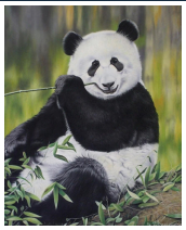 Le panda - pastel sec - taille : 38 x 30 cm