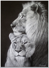 Regard d'Afrique - dessin crayons pastels - taille : 44 x 30 cm (indisponible)
