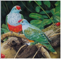 Sur la branche - pastel sec - taille : 29 x 30cm (rserv)