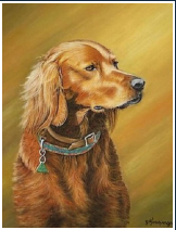 Le setter - pastel sec - taille : 25 x 23cm (indisponible)