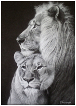 Regard d'Afrique - pastel noir et blanc - taille : 44 x 30 cm (indisponible)