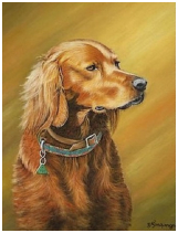 Le setter - pastel sec - taille : 25 x 23cm (indisponible)