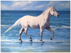 Le cheval blanc - pastel sec - taille : 30 x 40cm (indisponible)