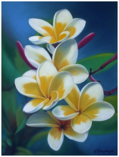 Fleurs de Frangipanier - pastel sec - taille : 30 x 40cm (disponible)